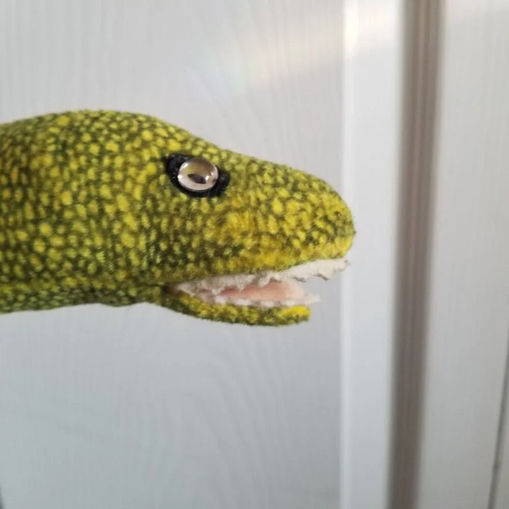 Ty Beanie Babies Plush Morrie the Moray Eel Green Orange Vintage Y2K 90s